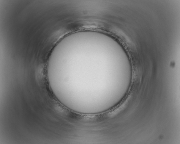 X0000116841353201001081450