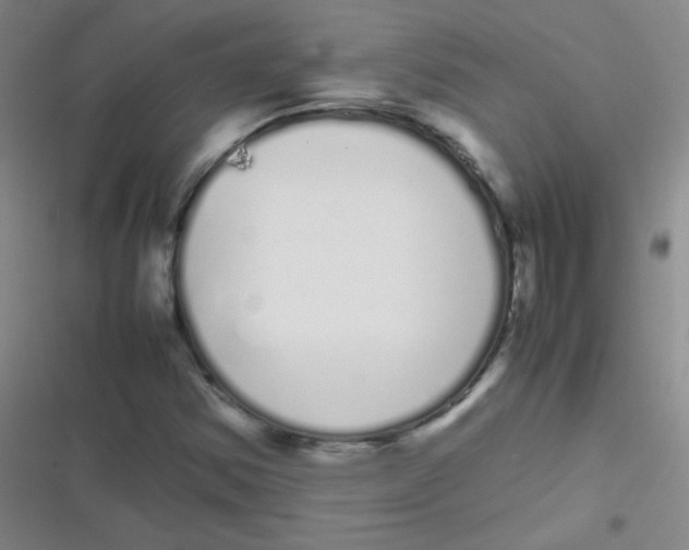 X0000116841354201001081450