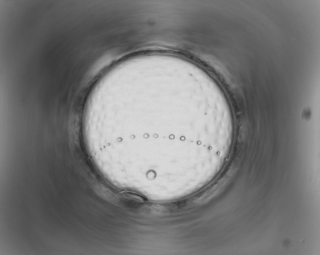 X0000116841355201001081450