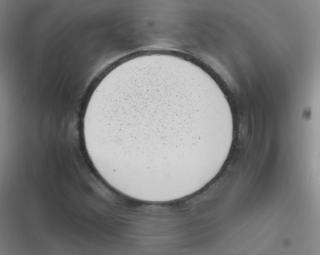 X0000116841356201001081450