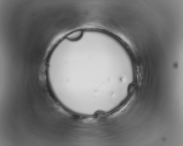 X0000116841358201001081450