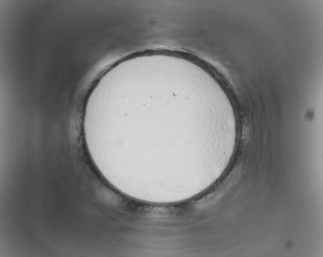 X0000116841359201001081450