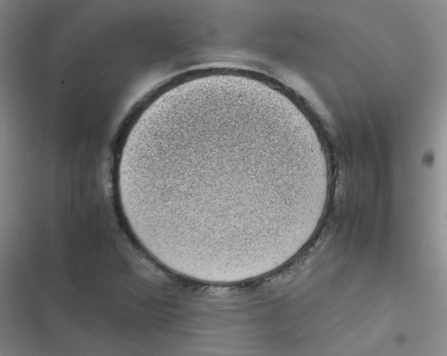 X0000116841360201001081450