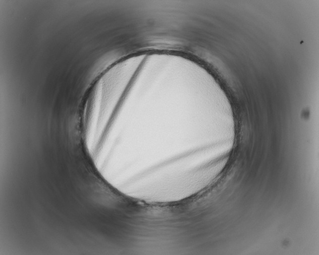 X0000116841362201001081450