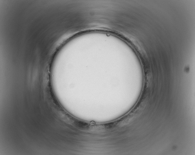 X0000116841363201001081450