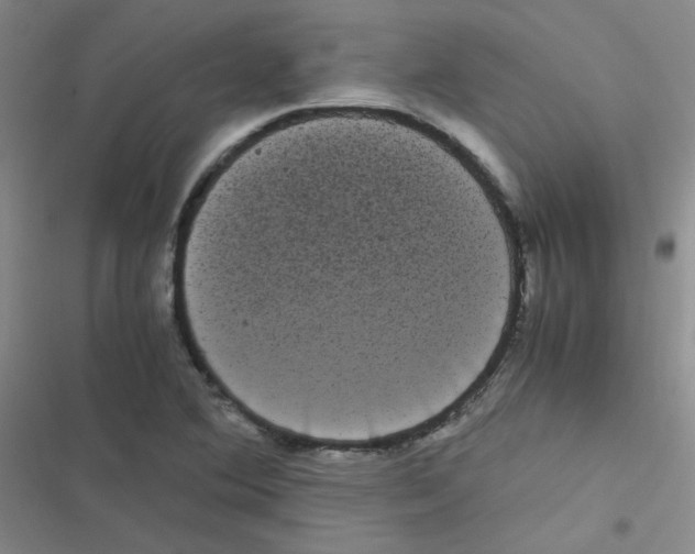 X0000116841364201001081450