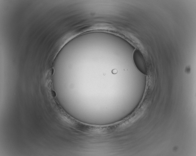 X0000116841369201001081450