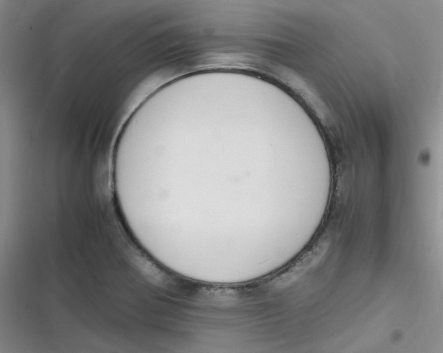 X0000116841370201001081450