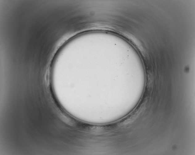 X0000116841371201001081450