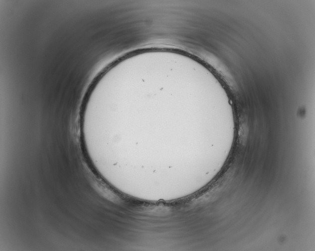 X0000116841372201001081450