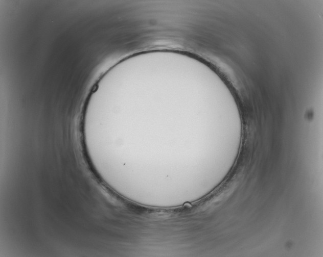 X0000116841373201001081450