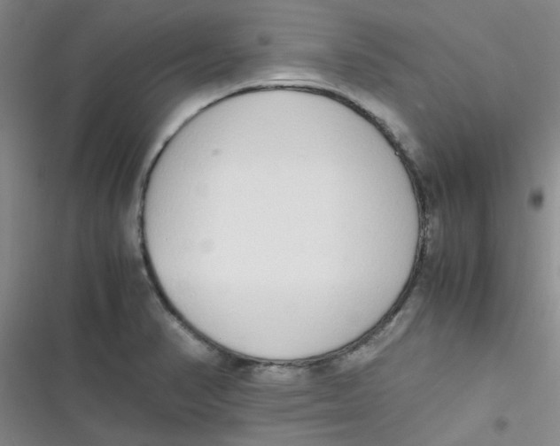 X0000116841374201001081450