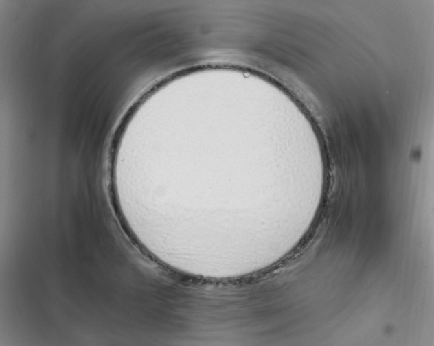 X0000116841376201001081449