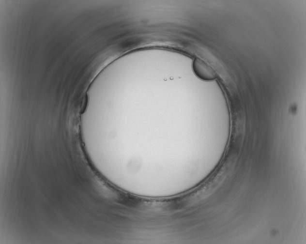 X0000116841377201001081449