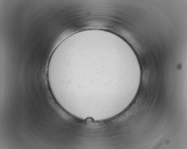 X0000116841378201001081449