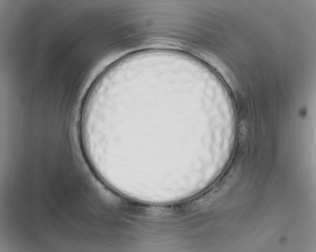 X0000116841379201001081449