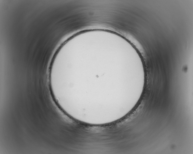 X0000116841380201001081449