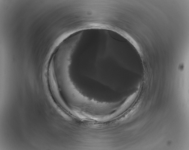 X0000116841381201001081449