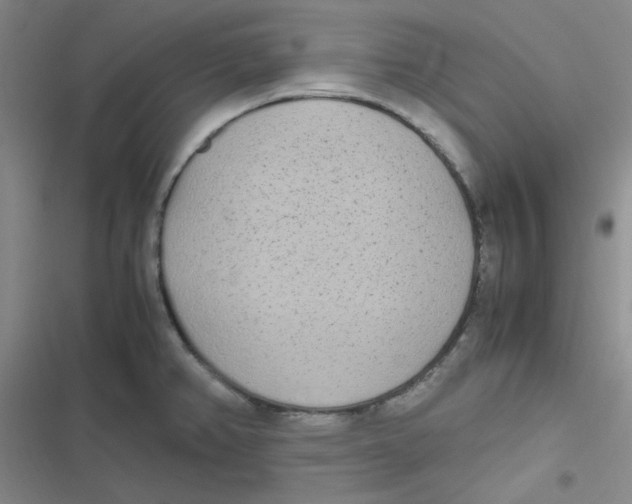 X0000116841382201001081449