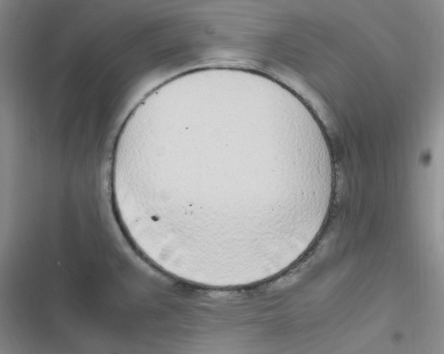 X0000116841383201001081449