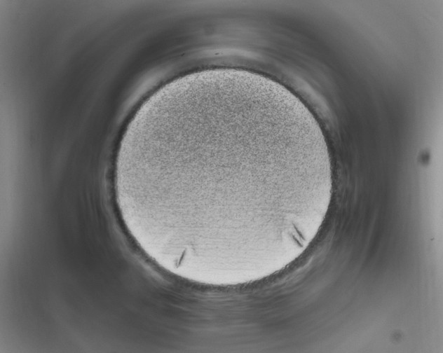 X0000116841384201001081449