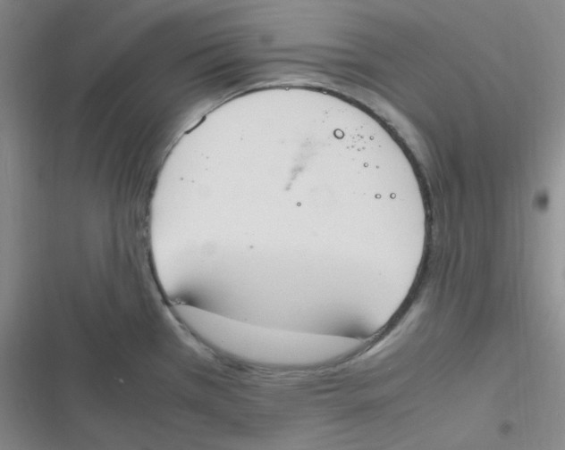 X0000116841385201001081449