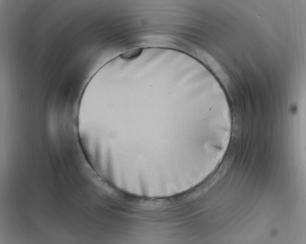 X0000116841386201001081449