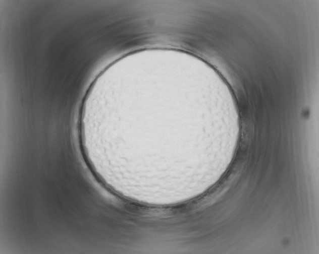 X0000116841387201001081449