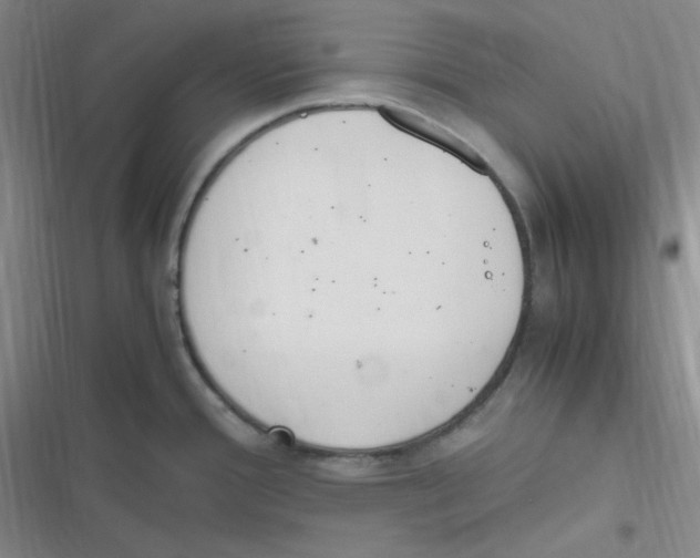 X0000116841388201001081449