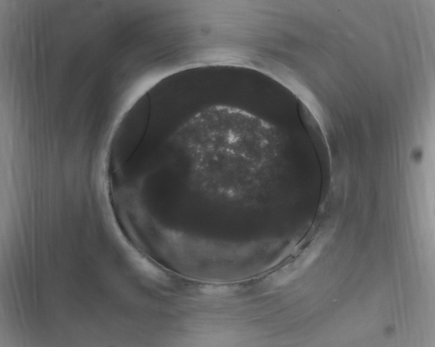 X0000116841389201001081449