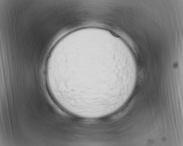 X0000116841391201001081449