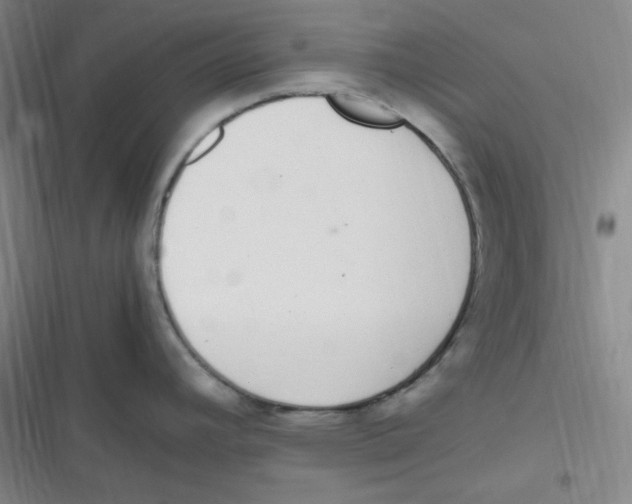 X0000116841392201001081449