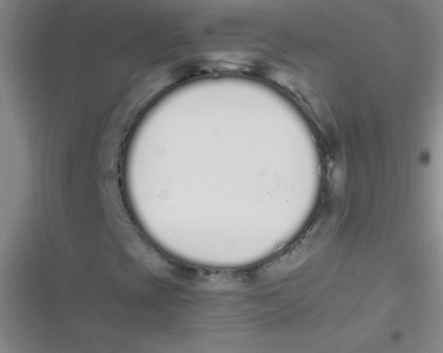 X0000116841393201001081449