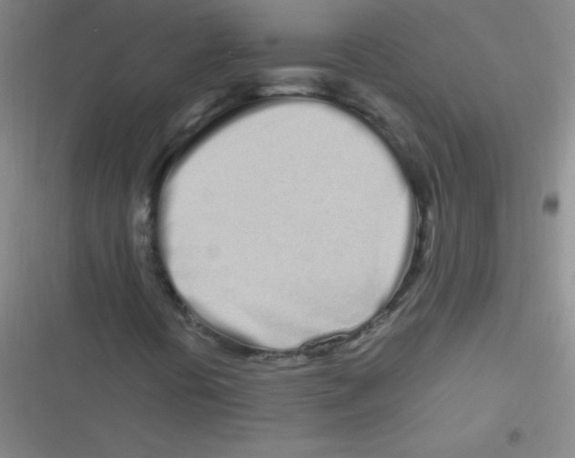 X0000116841394201001081449