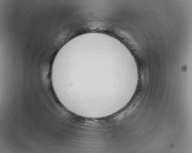 X0000116841396201001081449