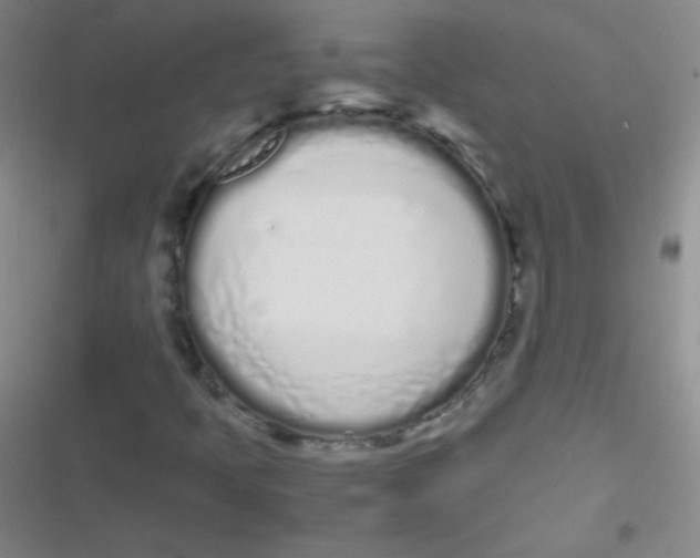 X0000116841397201001081449