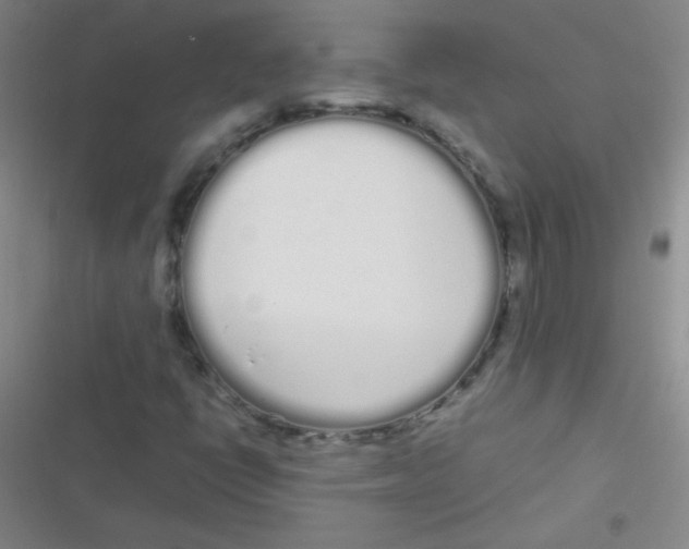 X0000116841398201001081449