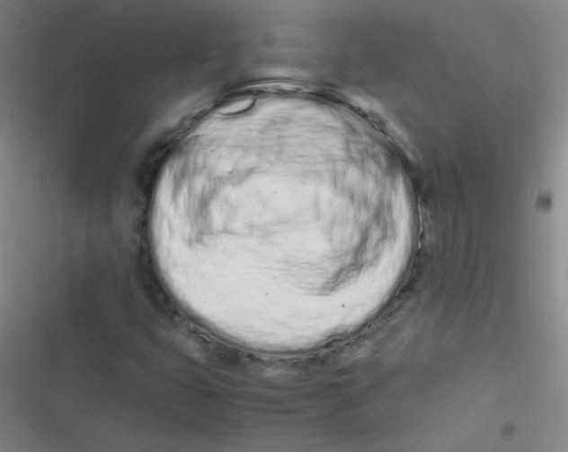 X0000116841399201001081449