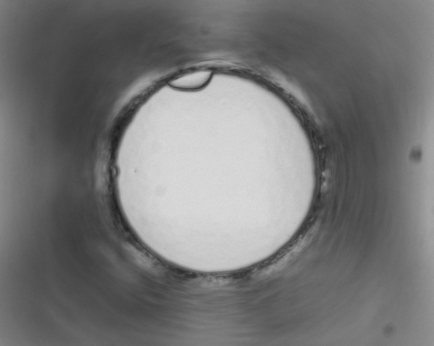 X0000116841400201001081449