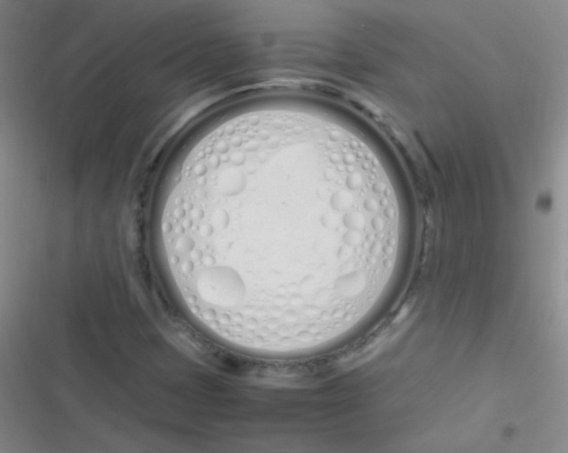 X0000116841401201001081449