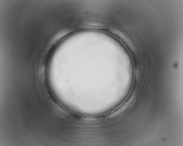 X0000116841402201001081449