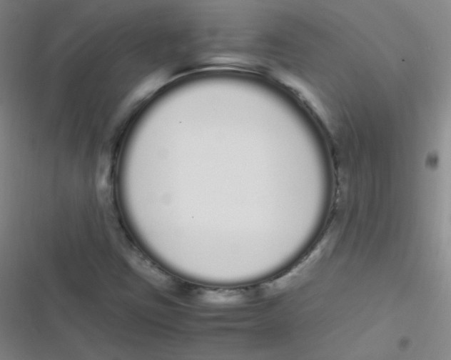 X0000116841403201001081449