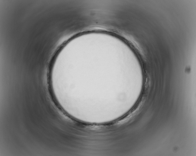 X0000116841404201001081449