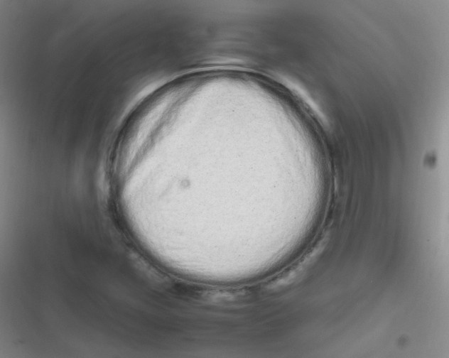 X0000116841405201001081449