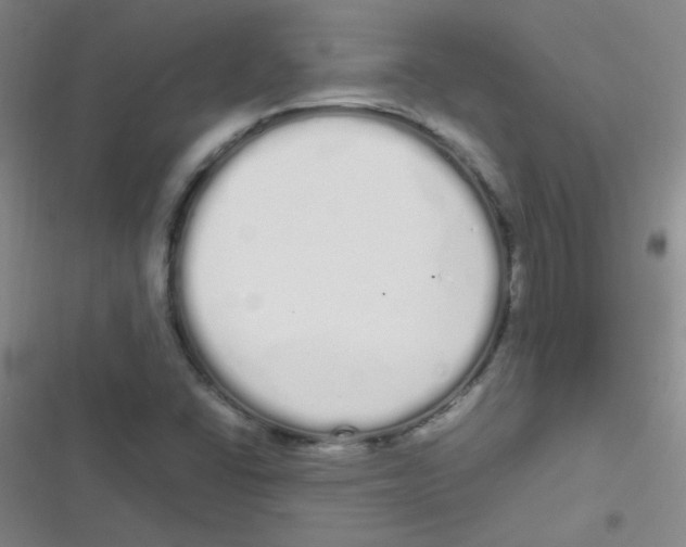 X0000116841406201001081449