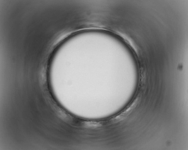 X0000116841407201001081449