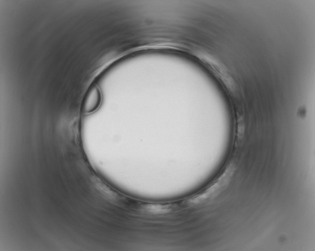 X0000116841409201001081449