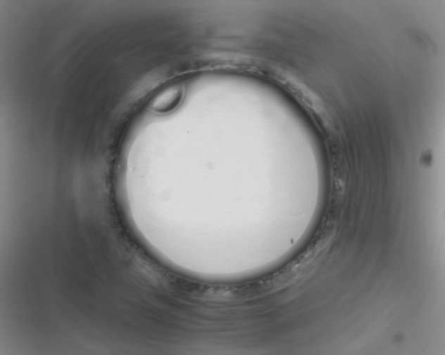 X0000116841411201001081449