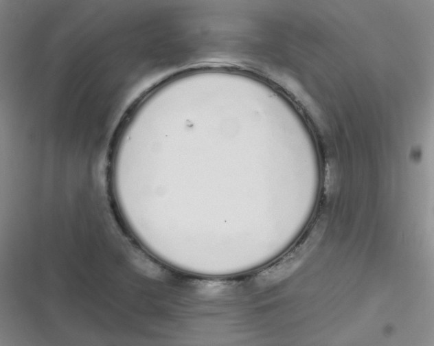 X0000116841412201001081449