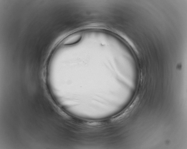 X0000116841413201001081449